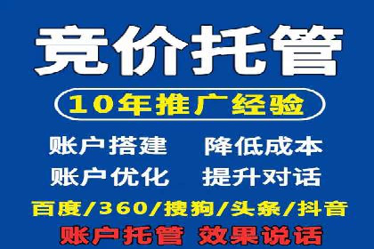 行业领先企业的网络推广与竞价经验